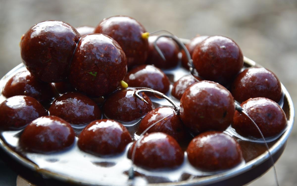 Importanta ingredientelor din #boilies (3).